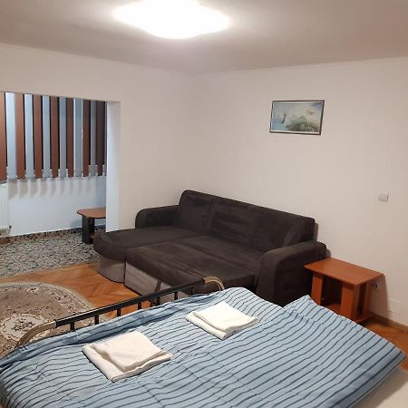 Appartement La Zoli - Apartament 1 Cam, Zona Freidorf Cu Parcare Publica à Timişoara Extérieur photo